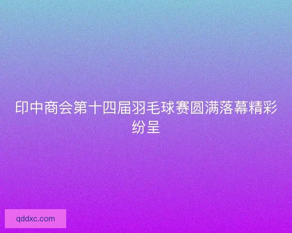 印中商会第十四届羽毛球赛圆满落幕精彩纷呈