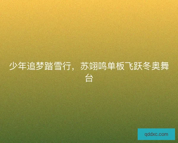 少年追梦踏雪行,苏翊鸣单板飞跃冬奥舞台 少年追梦踏雪行,苏翊鸣单板飞跃冬奥舞台